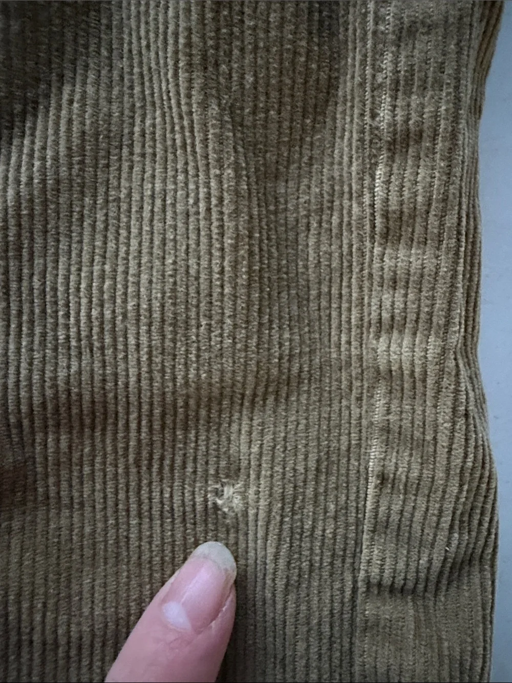 GAPKids Corduroy Pants in Tan Brown